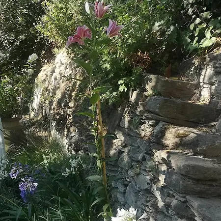 Casa L'olmu